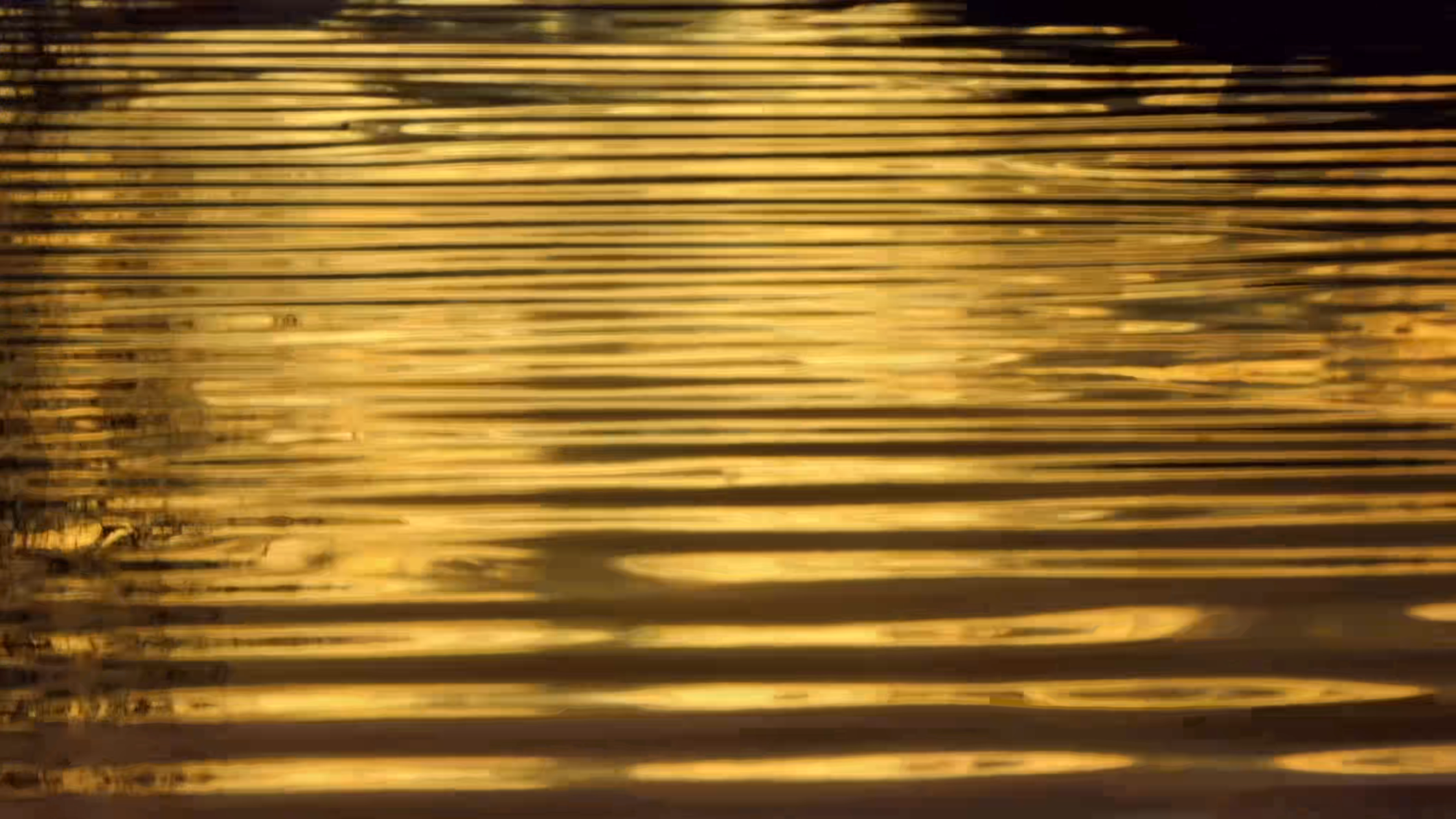 Looping close crop of softly rippling waves reflecting golden sunlight on a pond