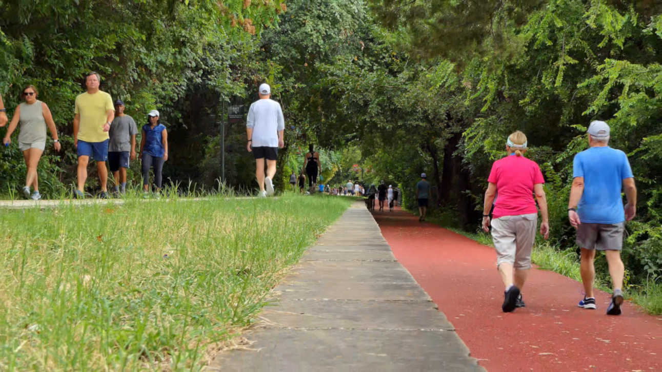 Elderly walking couple ends this dolly zoom clip on popular urban park trail