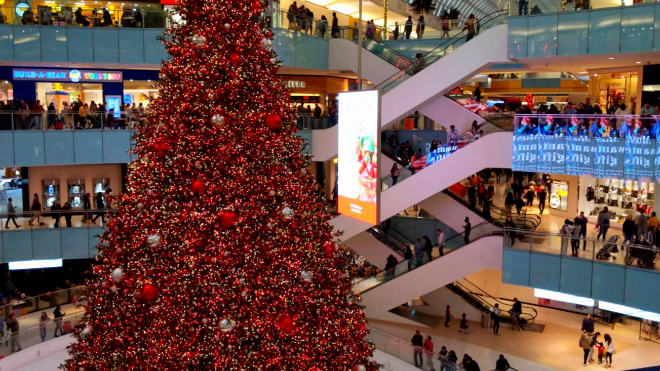 Timelapse of Christmas shoppers in mall hurrying with last-minute shopping