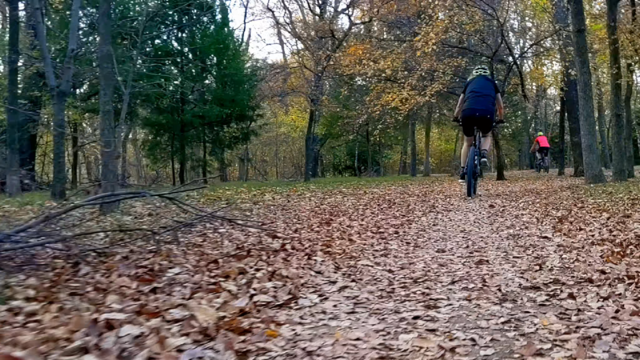 Ground-level jog behind bikes through trees on trail covered with fallen leaves