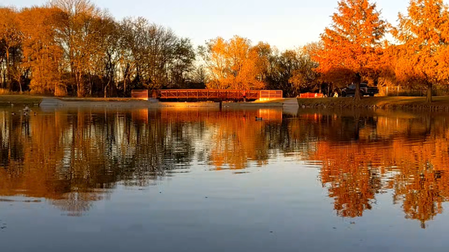 Slow motion sunset orange autumn scene at suburban park pond, jogger on bridge